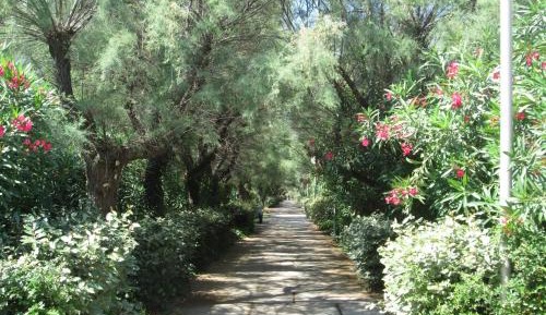 Apartment with Terrace - Jardin du couchant 101