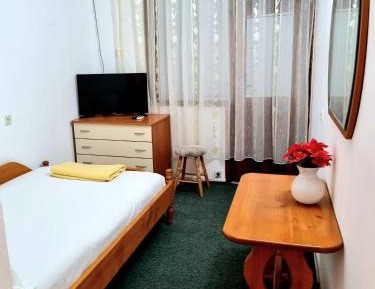 Single Room with Terrace