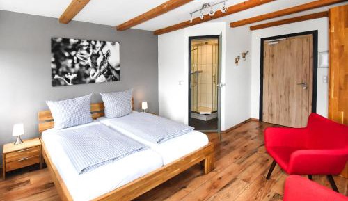 Double Room with Mountain View