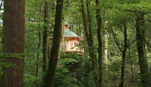 Treehouse