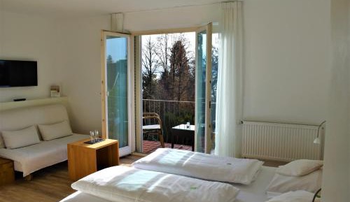 Double Room with Balcony and Park View