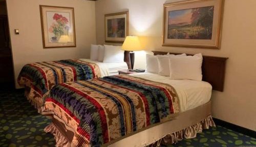 Budget Double Room
