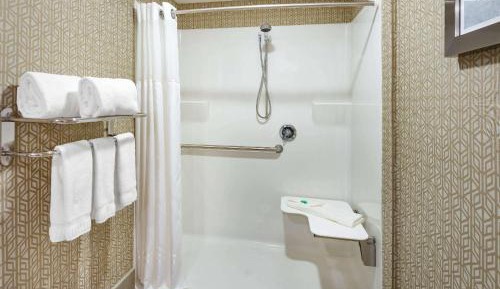 Queen Room with Roll-In Shower - Mobility Accessible/Non-Smoking
