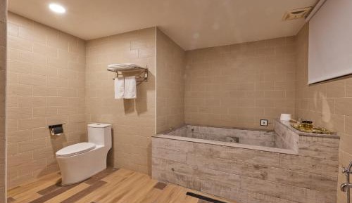Deluxe Family Room