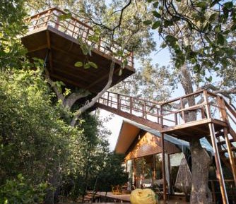 Super Luxury Tent with Private Pool (10% off on Wildlife Safaris)