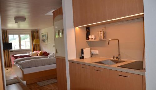 Studio Apartment
