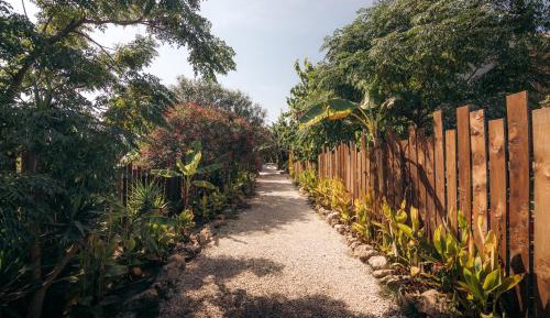 Deluxe Double or Twin Room with Garden View