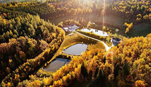 Studio with Garden View