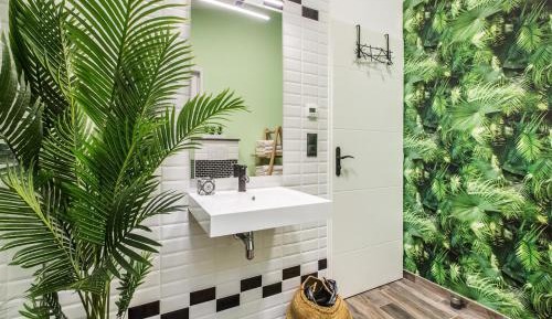 Basic Triple Room with Shared Bathroom
