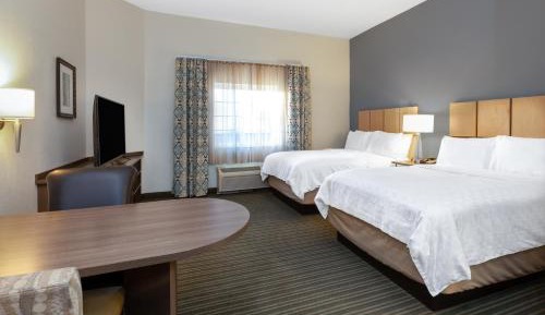 Studio Suite with Two Double Beds