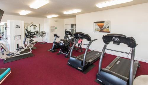 Three Bedroom Apartment