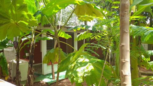 Family Room with Shower