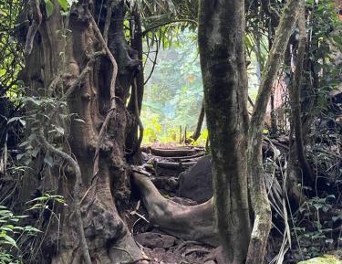 Suite with River View