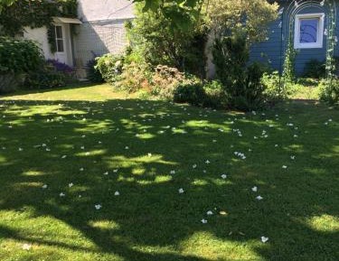 Studio (Gite de la Motte)