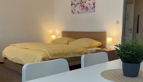 Studio (3 Adults)