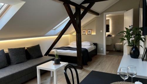 Superior Apartment