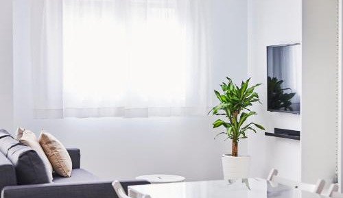 Standard Triple Studio	