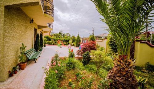 Apartment - Ground Floor