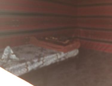 Single Tent