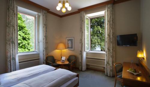 Deluxe Double or Twin Room with Lake View