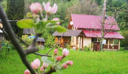 Holiday Home