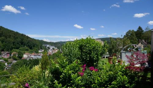 Apartment with Mountain View