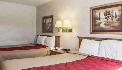 Superior Queen Room with Two Queen Beds - Non-Smoking