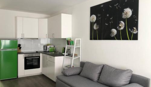 Standard Apartment