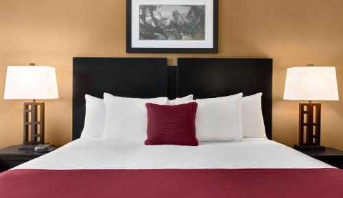 King Room - Non-Smoking