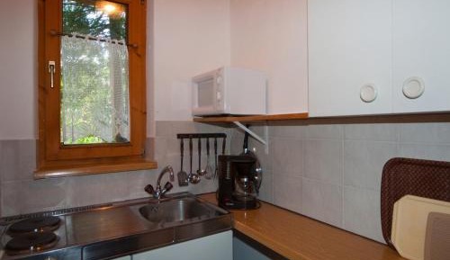 One-Bedroom Apartment with Terrace