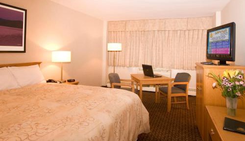 Executive King Room (Non-Pet Friendly)