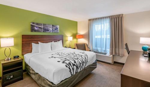 King Room - Non-Smoking