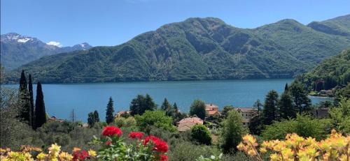 Apartment with Lake View