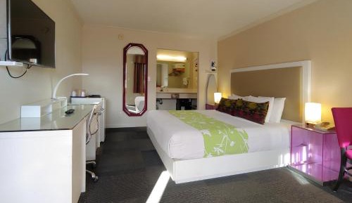 King Room - Non-Smoking