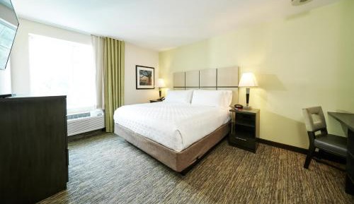 One-Bedroom Queen Suite