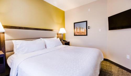 One-Bedroom Suite One King Bed Non-Smoking