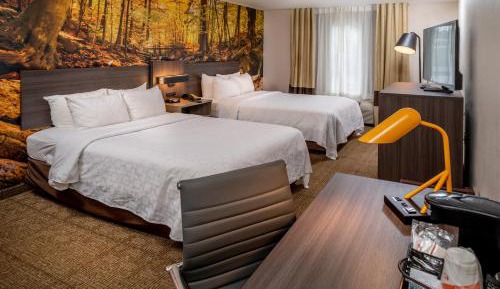 Double Room with Two Double Beds - Non-Smoking/Pet Friendly