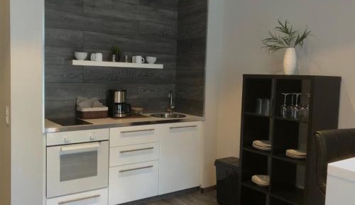 Studio with Terrace