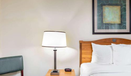 One Bedroom Apartment with King Bed and City View - Non-Smoking