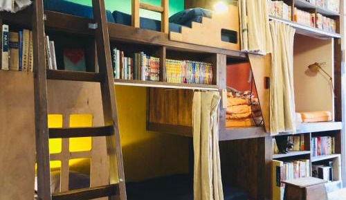 Bunk Bed in Mixed Dormitory Room