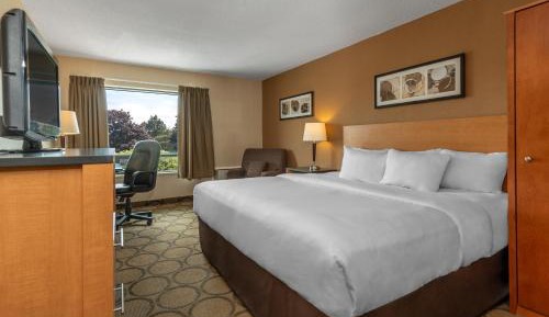 Queen Room - Non-Smoking - High Floor