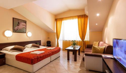 Deluxe Double Room with Sofa Bed and Balcony