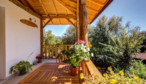 Villa with Garden View