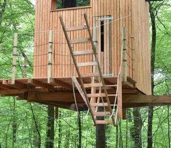 Tree House