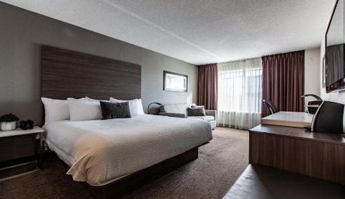 Business King Room