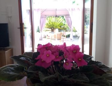Double Room with Garden View