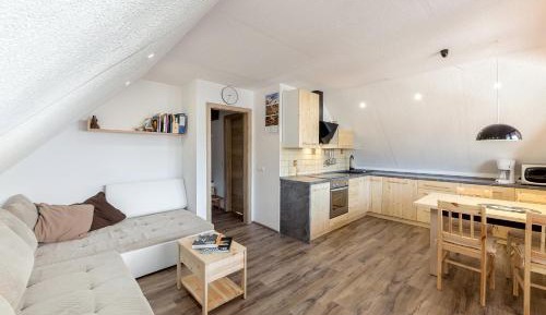 Apartment with Terrace