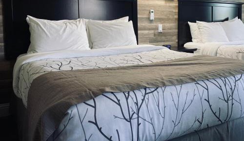 Queen Room with Three Queen Beds
