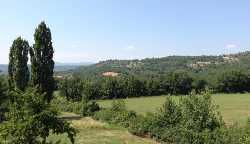 One-Bedroom House - Carluc
