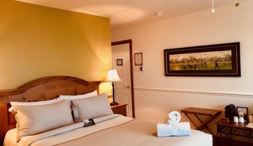 Superior Queen Room